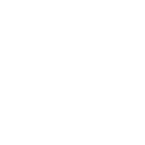 Logo blanco Desde Adentro